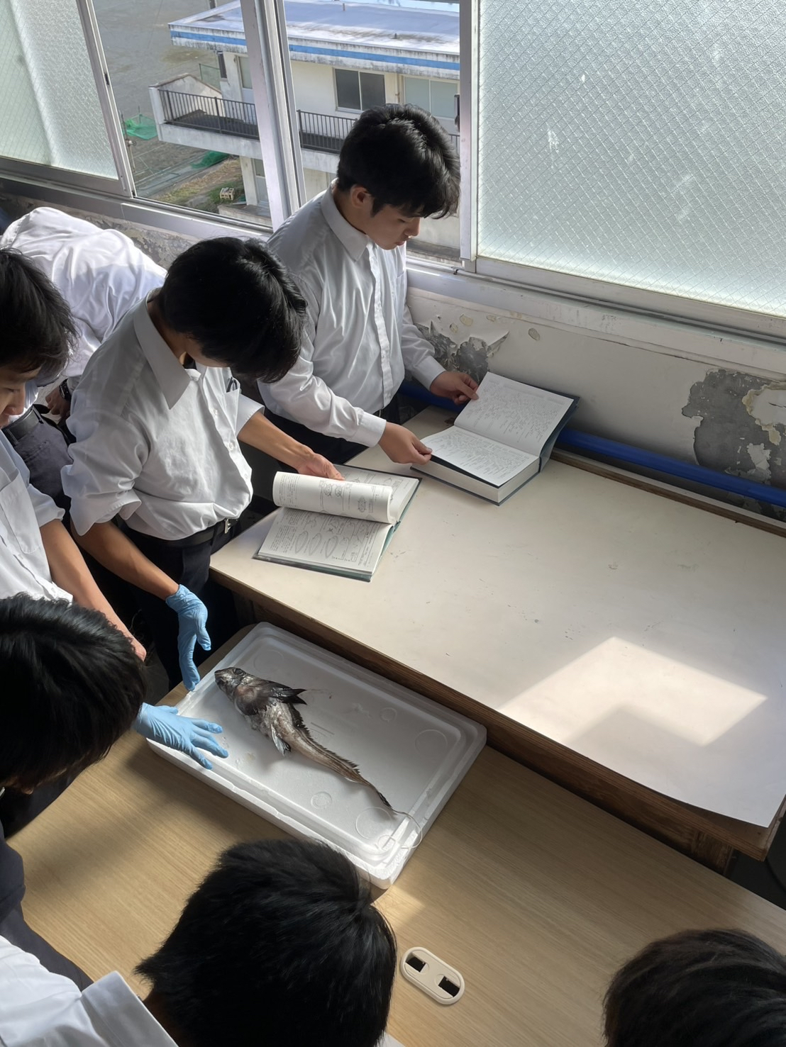 Image - 2025-12-01T173117.093